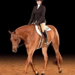 RED HOT N DANGEROUS - Out of Thumbs Hope